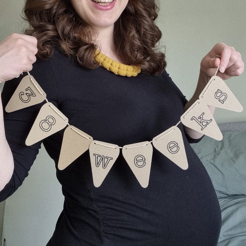 baby to bump bunting black outline flag