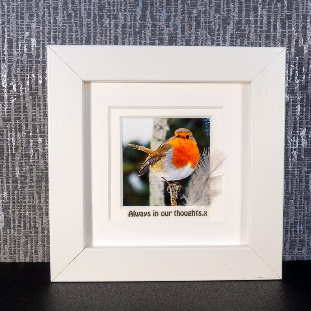 Robin with Feather & Sentimental message “Always in our thoughts. x” white, grey or black framed picture by Pictures2Mixtures