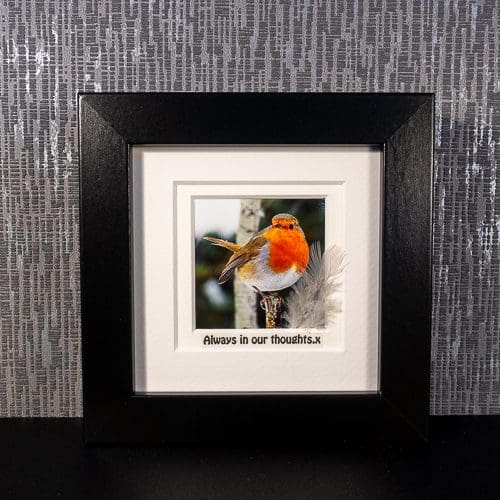 Robin with Feather & Sentimental message “Always in our thoughts. x” white, grey or black framed picture by Pictures2Mixtures