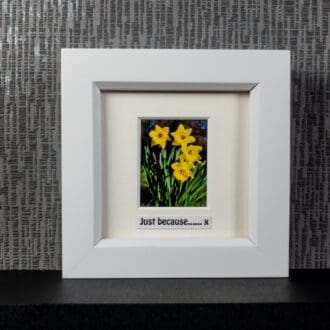 Sunny Yellow Daffodils, framed photograph with optional message including “…..just because. x” by Pictures2Mixtures