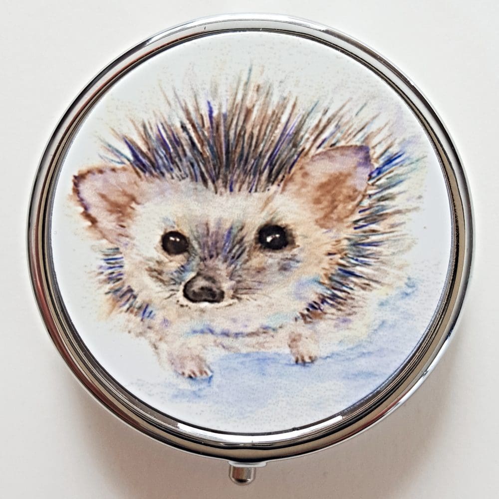 Round pill box with Hugo Hedgehog artwork
