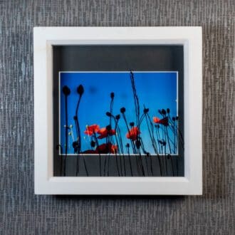 Painted Poppy Seed Head Silhouettes throw shadows over a blue sky with poppies framed photograph, artwork by Pictures2Mixtures
