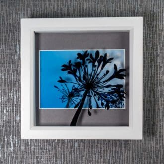 Painted Agapanthus Flower Silhouette casts shadow over blue sky in framed Agapanthus photograph, artwork by Pictures2Mixtures