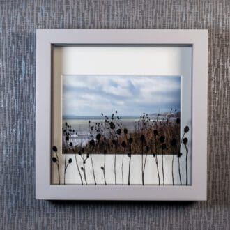 Painted Teasel Silhouettes at Kimmeridge Bay 1 casting shadows over framed photograph, artwork by Pictures2Mixtures