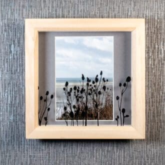 Painted Teasel Silhouettes at Kimmeridge Bay 2 casting shadows over framed photograph, artwork by Pictures2Mixtures