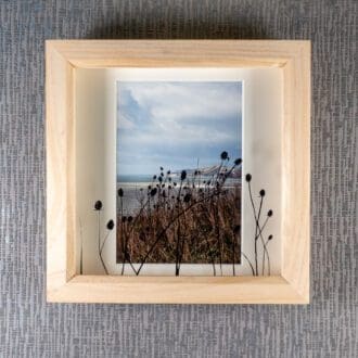Painted Teasel Silhouettes at Kimmeridge Bay 3 casting shadows over framed photograph, artwork by Pictures2Mixtures