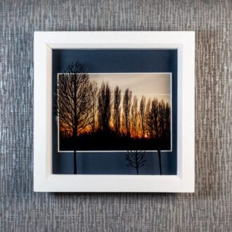 Three Painted Poplar Tree Silhouettes cast shadows across warm French Sunset photograph, artwork by Pictures2Mixtures