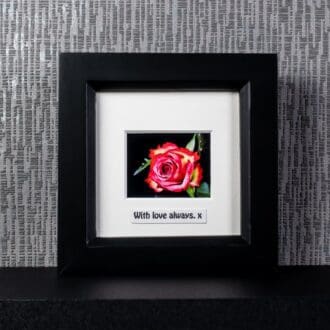 Pretty Pink & Cream Rose Bloom, framed photograph with optional messages including “With love always. x” by Pictures2Mixtures