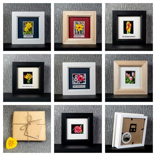 Selection of colourful spring flower photographs choice of frame colour, optional message & gift wrap, by Pictures2Mixtures
