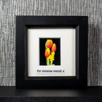 Red & Yellow Tulips with Narcissi, framed photograph with message options including “For Someone Special” by Pictures2Mixtures