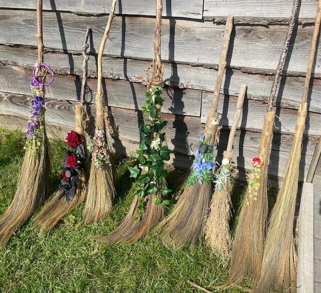 Decorative-witches-broom