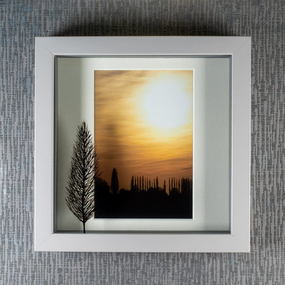 Painted Poplar Tree Silhouette casts a shadow across creamy dreamy French Sunset photograph, artwork by Pictures2Mixtures