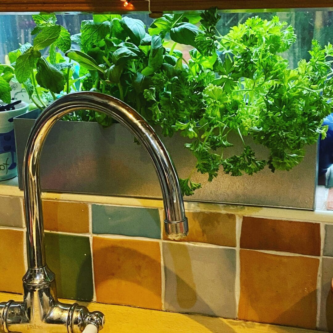 Kitchen Window Herb Planter in Aluminium