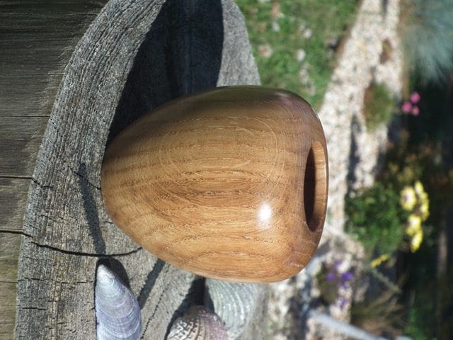 Oak Hollow Form Vase