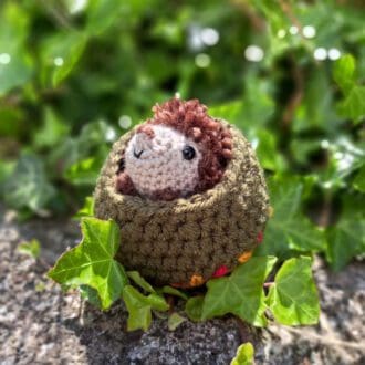 A scruffy hedgehog in her nest in ivy