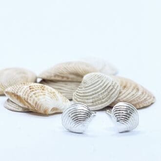 silver clam shell earrings on a white background with red clam shells