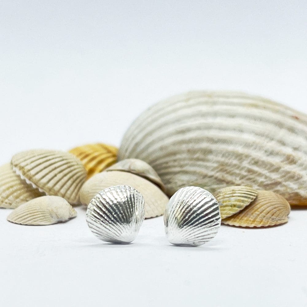 Silver cockle shell earrings in front of larger cockle shells on a white background.