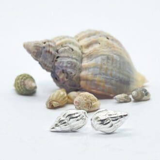 silver seashell earrings in front of seashells on a white background