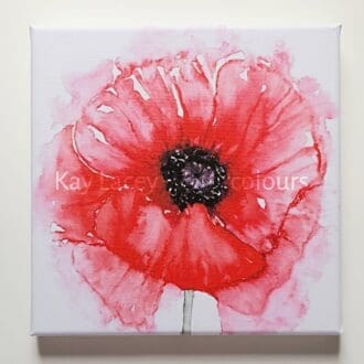 Vibrant Poppy Canvas from an original watercolour