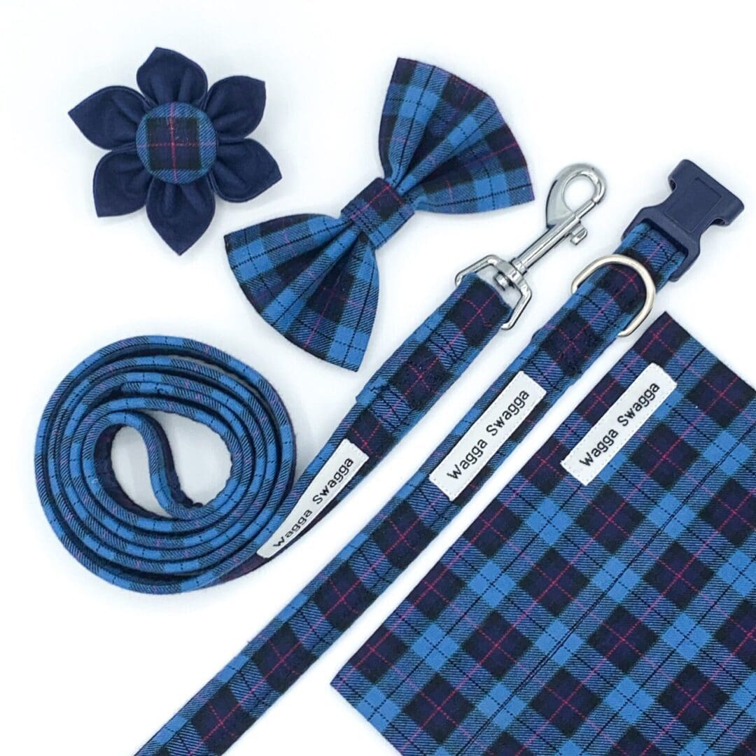 Blue plaid dog sales collar