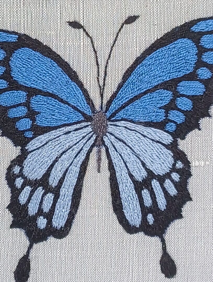 Blue Silk Butterfly Hand Embroidery Hoop