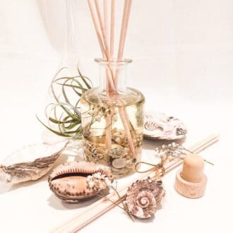 Coast reed diffuser is being used on a pale background surrounded by an assortment of shells, an airplant and the bottles cork stopper