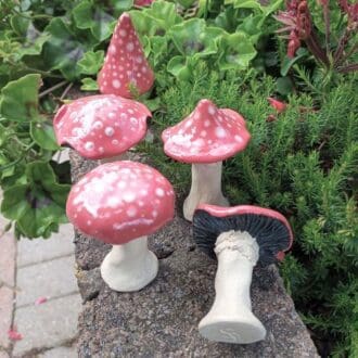 Red & White Mini Mushrooms