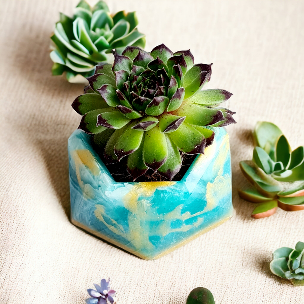 Succulent-pot-resin-turquoise-gold