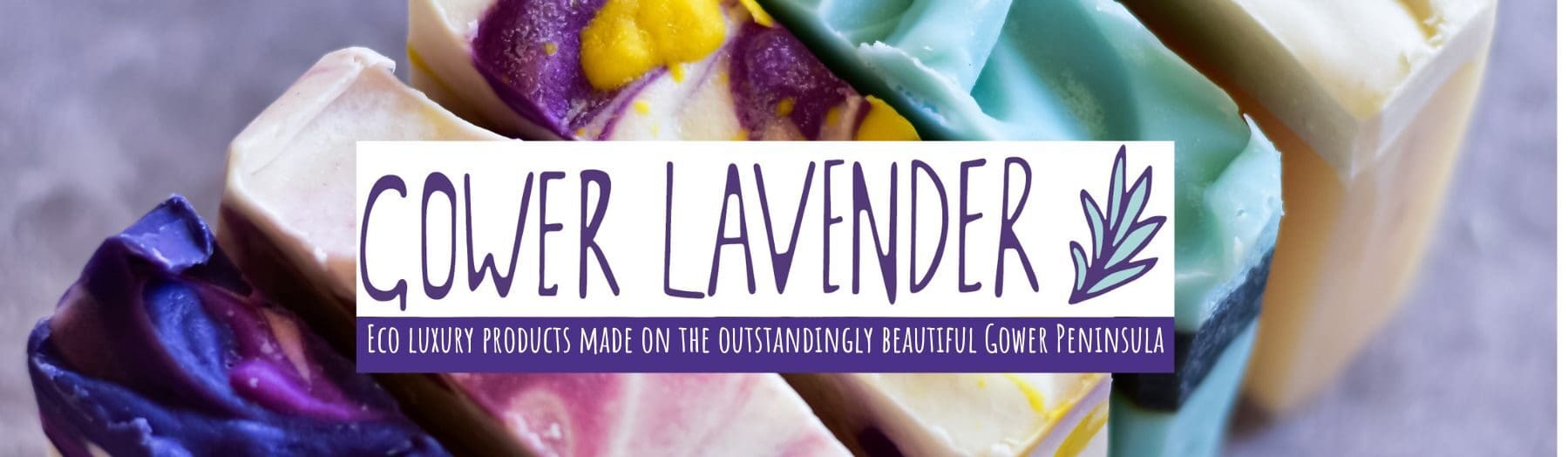 Gower Lavender