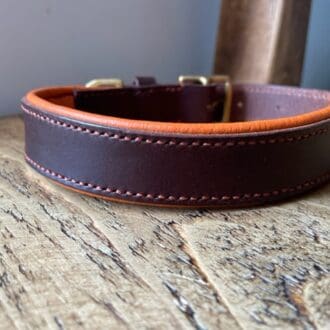 Handmade Italian leather dog collar with padding and brass hardware 14-18"
