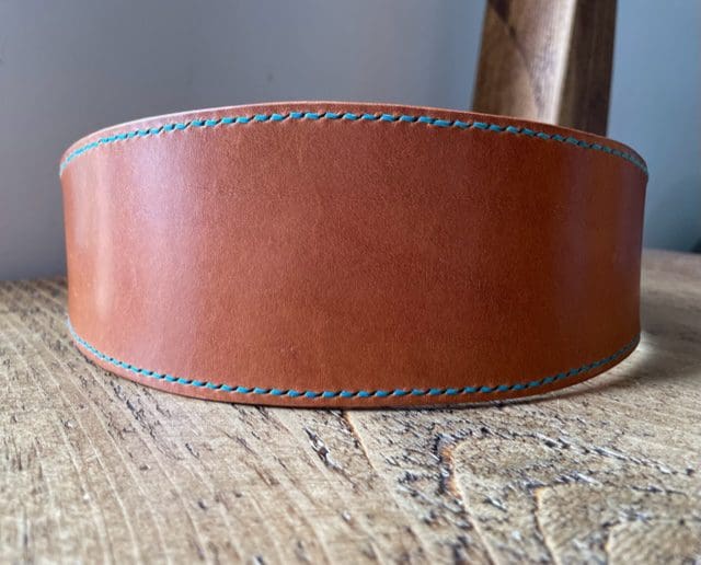 English leather flared dog collar with turquoise stitching 20-25"