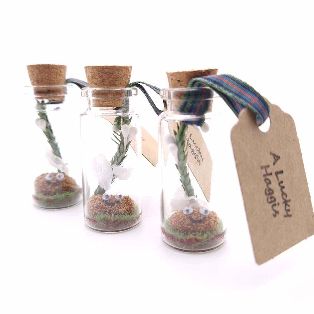 Funny haggis in a bottle, Scottish themed gifts