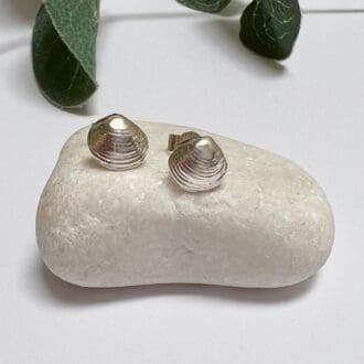 Silver shell stud earrings cast from real shell