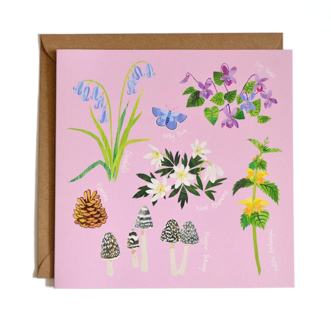 A square card featuring a digital illustration of wild flora and fauna found in our British woodlands. The illustrations are set on a pink background.