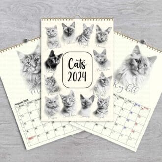 2024 CATS calendar sketched