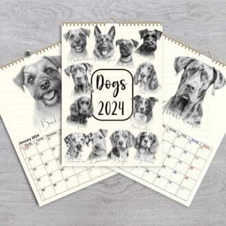 2024 DOGS calendar sketched