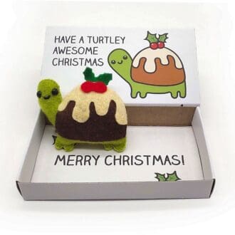 cute funny handmade christmas pudding turtle in a matchbox gift