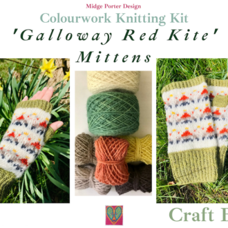 Red Kite - Fingerless Mitts - Knitting Craft Box Kit