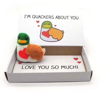 funny duck valentine's day gift magnet in a matchbox
