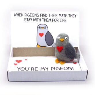 pigeon love gift magnet in a matchbox