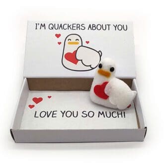 romantic duck valentines day gift