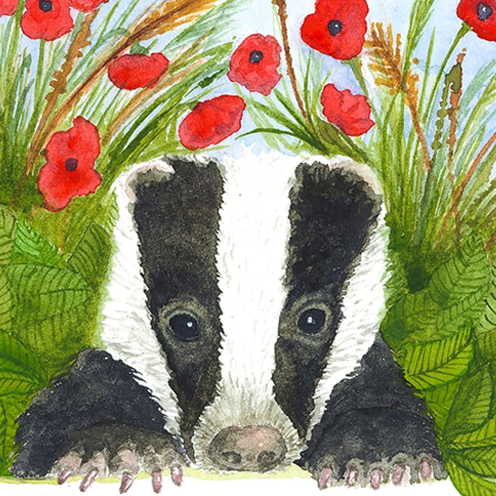 Close up view of the young badger cub surrounded by bright green leaves and grasses with bright red poppy flowers