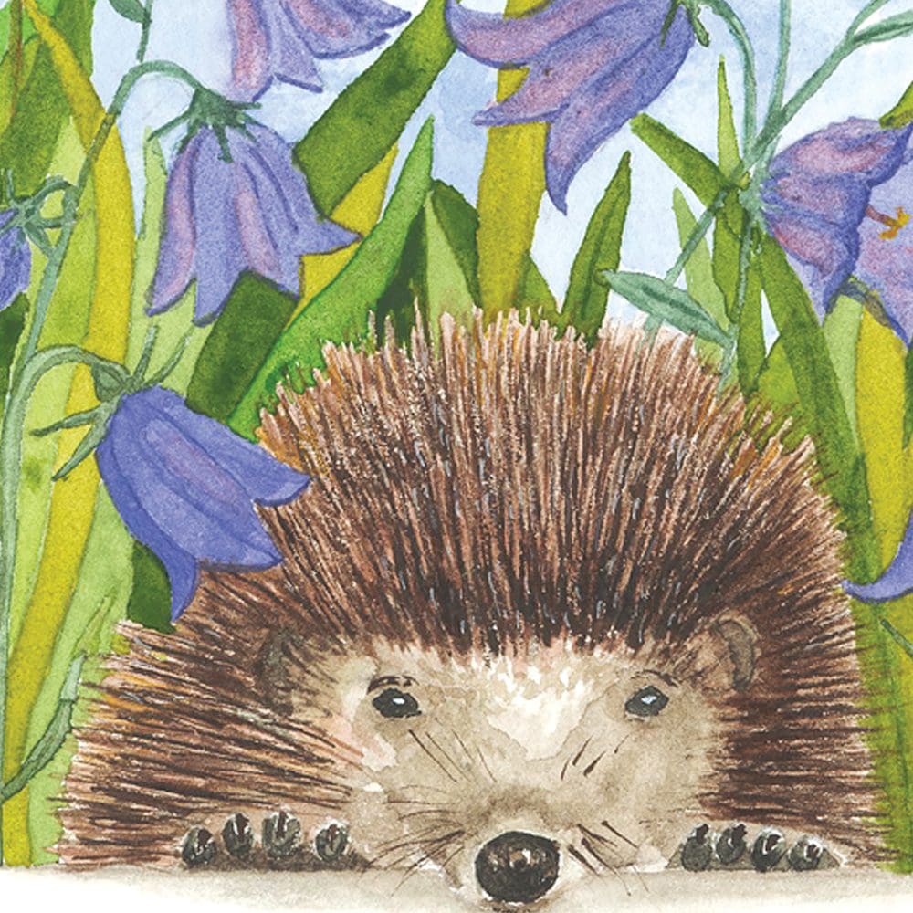 Close up view of a hedgehog surrounded by blue harebells and bright green grasses