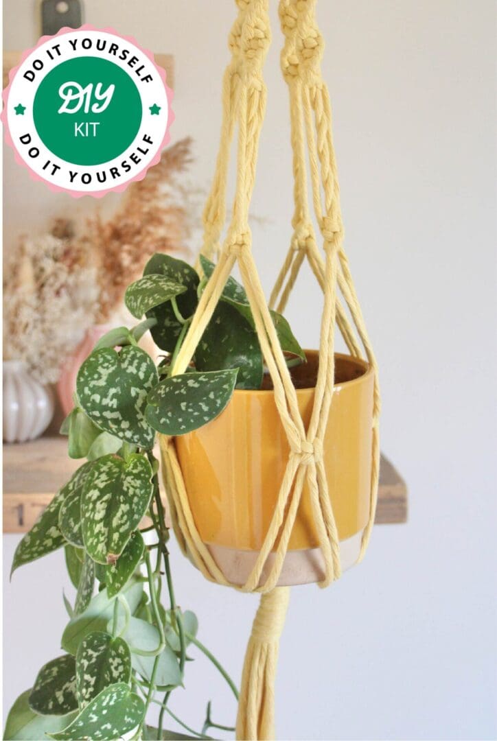 DIY Plant Hanger Kit