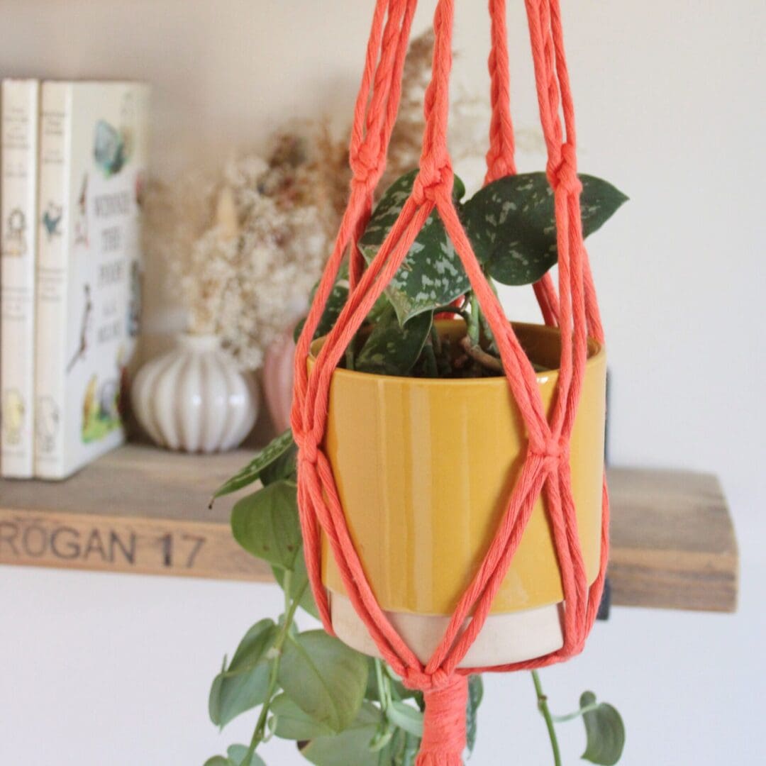 Macrame Plant Hanger in Coral