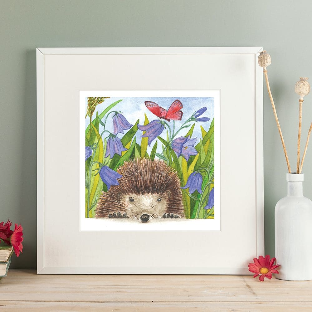 Wildlife art print of a hedgehog surrounded by harebells. Giclee print with a white mount. Shown in a readily available standard size square white frame