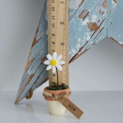 Little clay daisy in a terracotta pot, a gift for Mum
