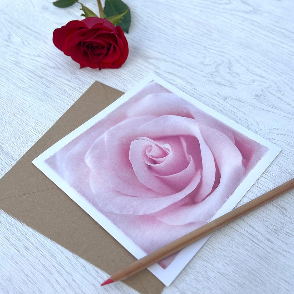 Rose greeting card