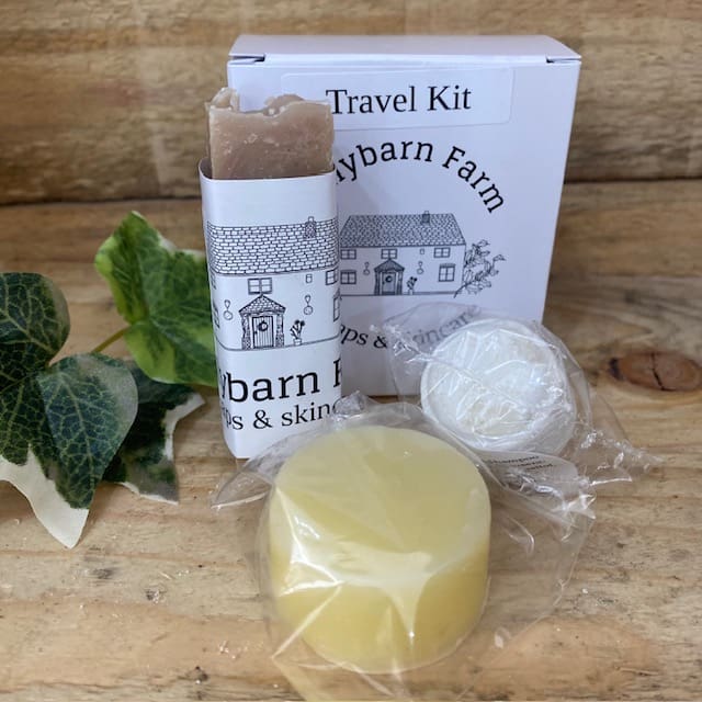 Travel-sized-toiletries-kit