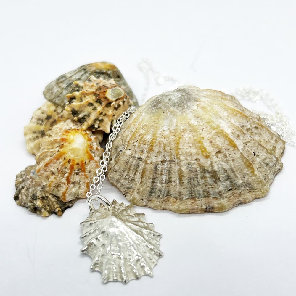 Silver limpet shell necklace on a white background next to actual limpet shells